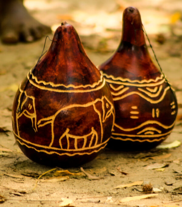 A Journey of Rhythm, Story, and Belonging